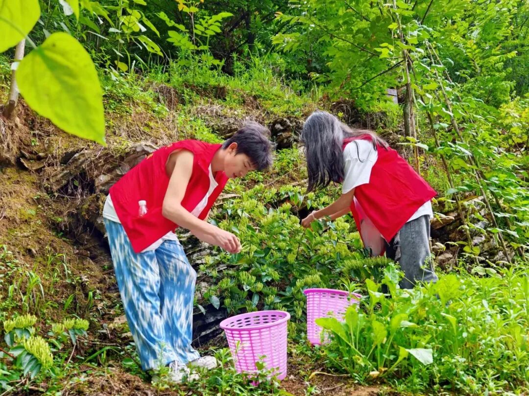 beat365英国官方网站在务川开展“三下乡”社会实践活动(图1) beat365英国官方网站在务川开展“三下乡”社会实践活动(图1)