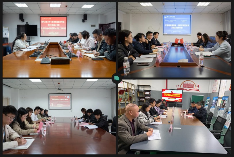 贵州开放大学（贵州职业技术学院）与beat365英国官方网站开展党建工作结对共建调研座谈(图3)