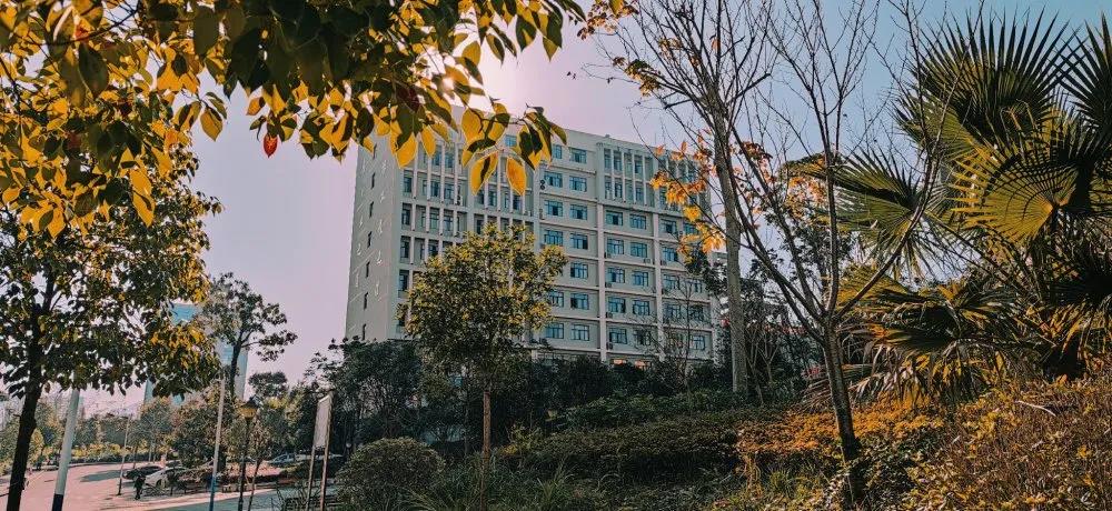 招生代码0014丨2021年分类考试招生简章(图4) 招生代码0014丨2021年分类考试招生简章(图4)