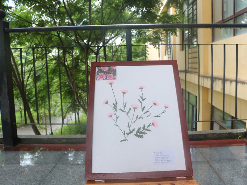 教学工作简报(图4) 教学工作简报(图4)